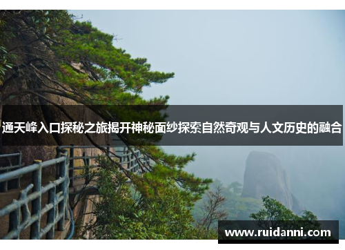 通天峰入口探秘之旅揭开神秘面纱探索自然奇观与人文历史的融合