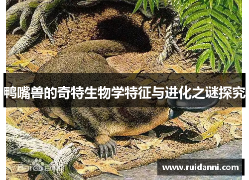 鸭嘴兽的奇特生物学特征与进化之谜探究