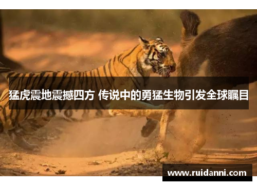 猛虎震地震撼四方 传说中的勇猛生物引发全球瞩目